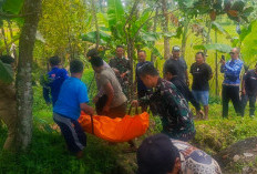 Kakek Asal Bandar Batang Gantung Diri, Diduga Karena Sawah Dijual Anak