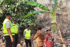 7 Hektare Lahan Perbukitan Jemur Kebumen Terbakar, Medan Sulit Jadi KendalaPadamkan Api