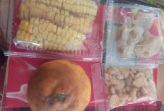 Program MBG di Batang Disorot, Komite Sekolah Temukan Jeruk Busuk hingga Dugaan Markup Harga  