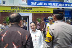 Wali Kota Semarang Berduka atas Kecelakaan Bus Cahaya Trans di Tol Krapyak, 16 Penumpang Tewas