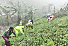 Cegah Bencana Alam, 15.000 Pohon Swadaya Ditanam di Bukit Gondang Kabupaten Tegal
