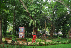 Semarang Sulap 149 Taman Kota Jadi Sentra Edukasi Zero Waste