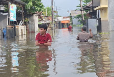Banjir di Pekalongan Hingga 1,5 Meter, Warga Mengungsi