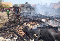 Berawal dari Bakar Jerami, Empat Rumah di Ngaringan Terbakar