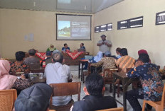 Pemkab Demak Kenalkan Smart-Dorm Box, Pangkas Masa Dormansi Bawang Merah dari 90 Hari Jadi 23 Hari