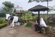 Soto Sawah Mba Tutik, Sensasi Kuliner Murah di Tengah Sawah dengan Panorama Gunung Ungaran
