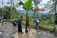 Protes Kondisi Infrastruktur, Warga Desak Perbaikan Jalan Kalibeber-Deroduwur Sebelum Lebaran