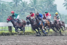 147 Kuda Ikut Berlaga Dalam IHR Piala Raja Mangkunegaran & Triple Crown Serie 2 2026 di Tegalwaton