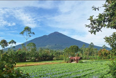 Pendaki Asal Brebes Tewas, Jatuh ke Kawah Gunung Slamet Saat Swafoto