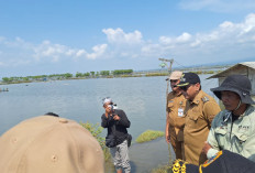 Pemprov Jateng Gerak Cepat Tangani Banjir Rob di Desa Tunggulsari Pati