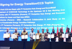 Perkuat Kemitraan Strategis Bidang Transisi Energi, Pertamina Gandeng ERIA