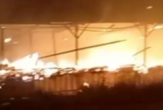 Kandang Ayam di Karanggede Boyolali Ludes Terbakar, Kerugian Pemilik Ratusan Juta Rupiah
