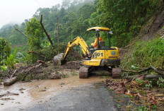 Warga Desa Tempur Jepara Terisolir Akibat Longsor, Akses Jalan dan Listrik Terputus  Total