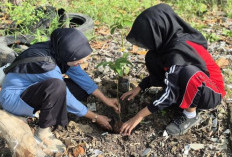 Wujud Peduli Lingkungan, Yayasan Sunniyah Selo Tanam 3.500 Pohon