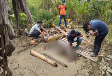 Gempar! Enam Hari Hilang, Seorang Kakek Ditemukan Tewas Membusuk di Kubangan Lumpur