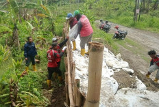 Banjir Tembalang Semarang Meluas Usai Hujan Ekstrem, Tanggul Kali Babon Diperkuat