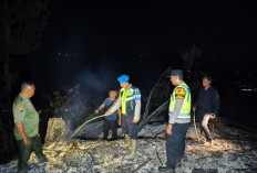 Kebakaran Lahan Perhutani di Karanggayam Kebumen, Setengah Hektare Hutan Pinus Terbakar