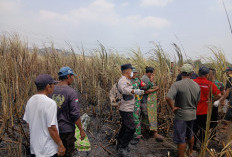 Diduga Terjebak Saat Membakar Lahan, Warga Sidamulya Tegal Tewas Terbakar 