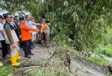 Longsor Mengintai, Pemkab Tegal Putuskan Buka Jalur Baru Sokasari–Bojong 