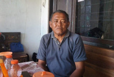 Panen Padi 3 Kali Setahun, Desa Kalitanjung Siap Jadi Percontohan Kemandirian Pangan di Purworejo