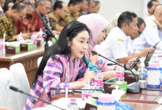 Komisi II DPR RI Awasi Kinerja BUMD, Shintya Apresiasi Bank Jateng