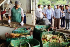 Kudus Pelopori Peta Digital 525 Titik Penjemputan Sampah Organik untuk Didaur Ulang