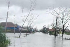 PC ISNU Demak Desak Langkah Cepat Tangani Banjir Bonang, Jalur Ekonomi Demak Terancam Lumpuh