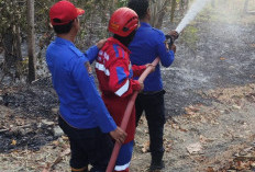 Bakar Sampah Berujung Petaka, Dua Lahan Alang-alang di Tegal Terbakar dalam Sehari