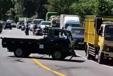 Adu Banteng, Mitsubishi L300 Pick Up dengan Travel di Jambu Jalur Semarang-Magelang