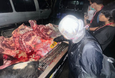Masih Ditemukan Daging Sapi Gelonggongan Dijual di Pasar Pagi Salatiga, Tiga Pedagang Disanksi
