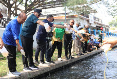 Jaga Kelestarian Ekosistem Air, Pemkot Tegal dan Umus Brebes Gelar Bersih-bersih Sungai