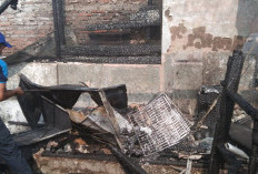 Armada Damkar Uzur Kabupaten Tegal: Nyawa Jadi Taruhan, Bupati Siap Tambah Armada Baru