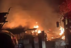 Pabrik Triplek UD Sinar Jaya Tegal Rejo Tengaran Terbakar, Kerugian Hingga Rp1 Miliar