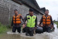 Banjir Rendam Sejumlah Kecamatan di Pekalongan, Polisi dan BPBD Fokus Evakuasi Warga
