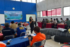 Hiu Paus Terdampar di Purworejo Sudah 7 Kali Sejak 2016, Nelayan Dilatih Tangani Satwa Dilindungi