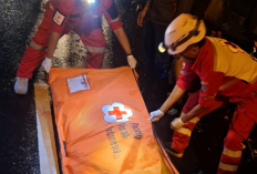 Tabrak Truk Mogok di JLS, Pengendara Beat Warga Cikal Tuntang Tewas di Tempat