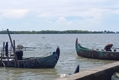 300 Hektar Tambak Mangunharjo Terdampak Rob, Produksi Ikan Payau Menurun