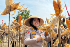 Panen kuartal IV, Polres Semarang Sumbangkan Total 45,94 Ton