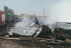 Kandang Ayam di Kaliwadas Tegal Kebakaran Jelang Panen, 33 Ribu Ayam Hangus Terpanggang