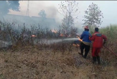 Lahan Kosong Terbakar, RS Hawari Essa Tegal Nyaris Dilalap Api