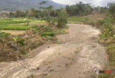 Empat Bulan Kemarau, Warga Karanggayam Kebumen Mulai Krisis Air