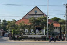 Panggil Bawahannya Saja, DPRD Rembang 'Tak Berani' Seret Bupati Harno di Skandal Anggaran Rakyat!