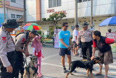 Dua Anjing Pelacak yang Mencuri Perhatian di Alun-Alun Pati