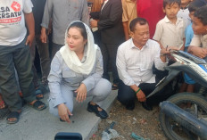 Jalan Mulus Gerakkan Perekonomian, Bupati Brebes Paramitha Disambut Riuh saat Cek Hasil Perbaikan Jalan 