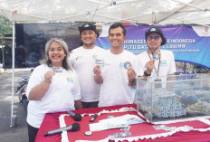 Saat FABA Jadi Pemantik Kehidupan Baru di Laut, Hiu Paus hingga Lumba-lumba Muncul di Perairan Batang