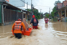 Pertengahan Maret Hujan Diprediksi Mereda, Warga Tegal Diminta Tetap Waspada