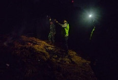 Gudang Penyimpanan Pakan Ternak di Pulokulon Grobogan Ludes Terbakar, Kerugian Capai Puluhan Juta