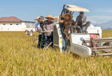 Ancaman Pidana hingga Insentif PBB, Strategi Pemprov Jateng Lindungi Sawah Demi Swasembada Pangan 2026