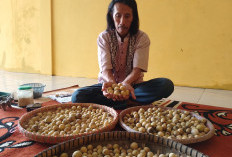 Duku Khas Sumber Kudus, Buah Lokal Langka Memiliki Kesegaran dan Rasa Manis