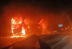 Menyisakan Kerangka, Bus PO Tunggal Dara Terbakar di Tol Bawen-Ungaran, 14 Penumpang  Selamat